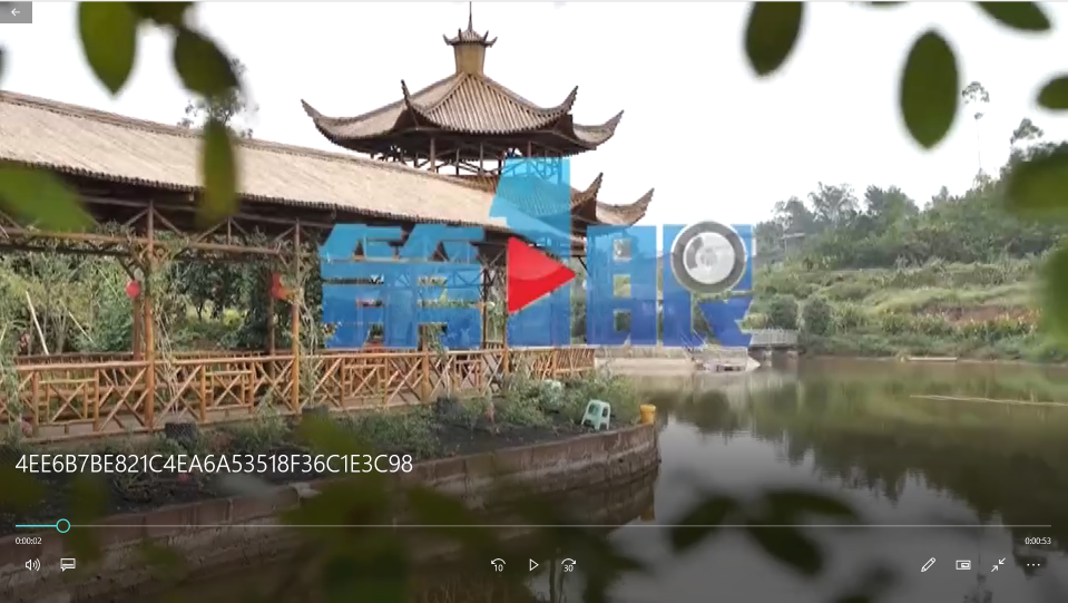 香蕉视频APP下载安装烤全羊.png